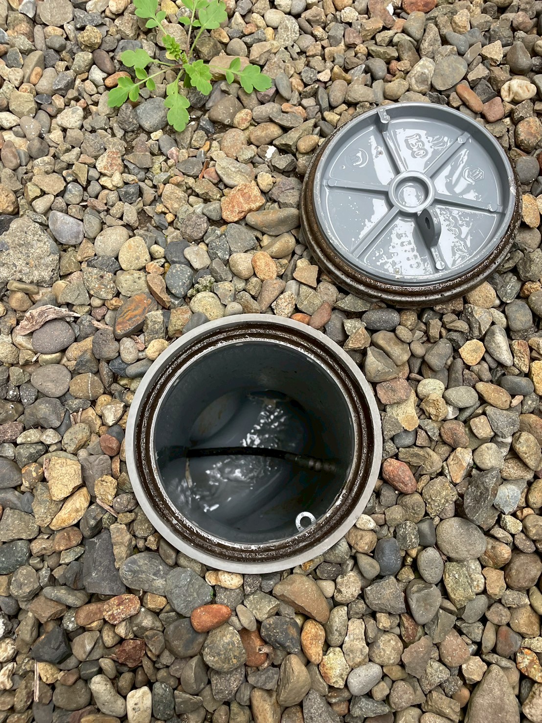 屋外砂利地面の排水桝を開けて内部を確認している。黒い樹脂製丸蓋が外され、桝内部の汚れ・配管接続状態を確認している